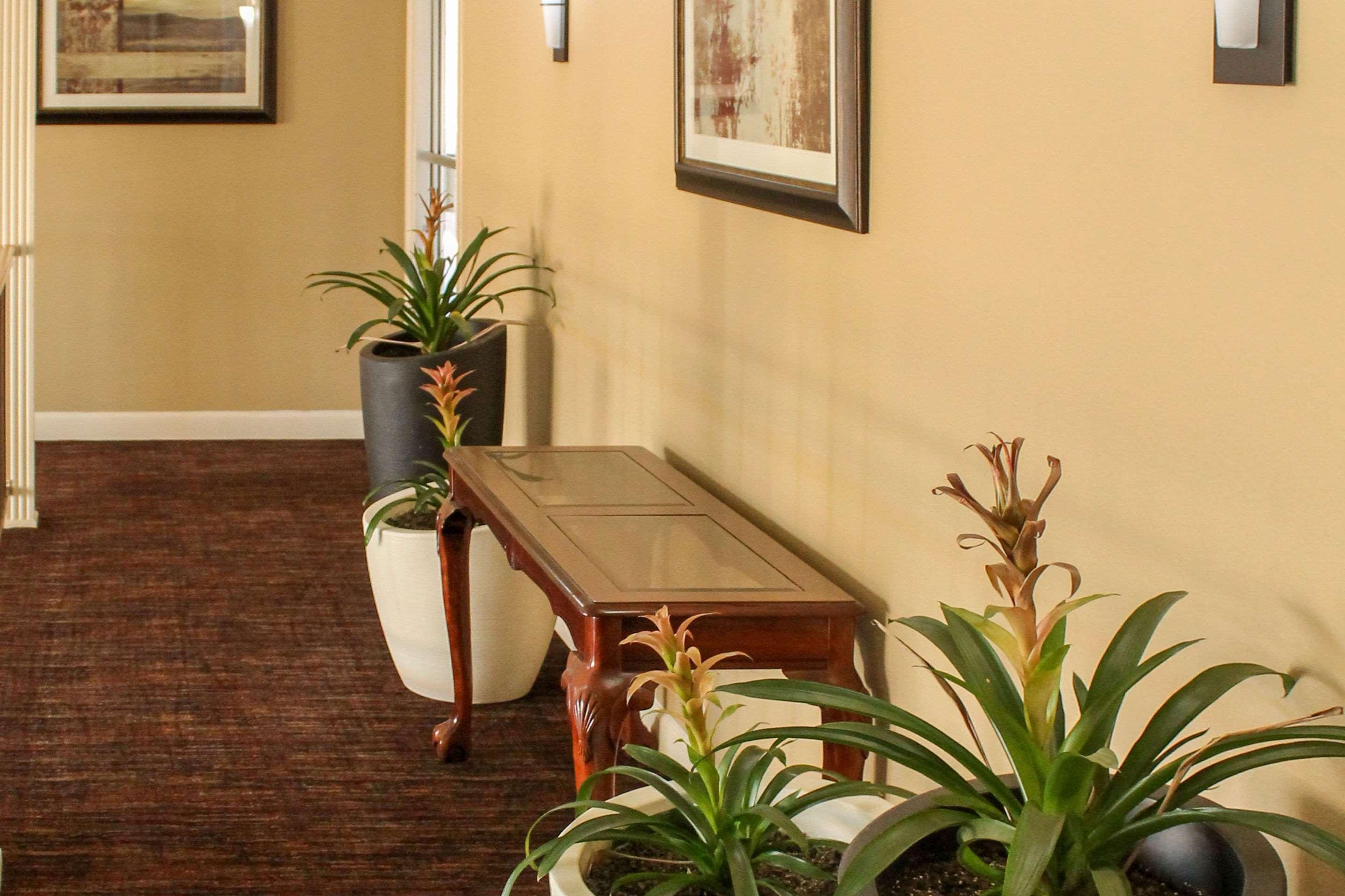 Quality Inn Arkadelphia - University Area Exteriör bild